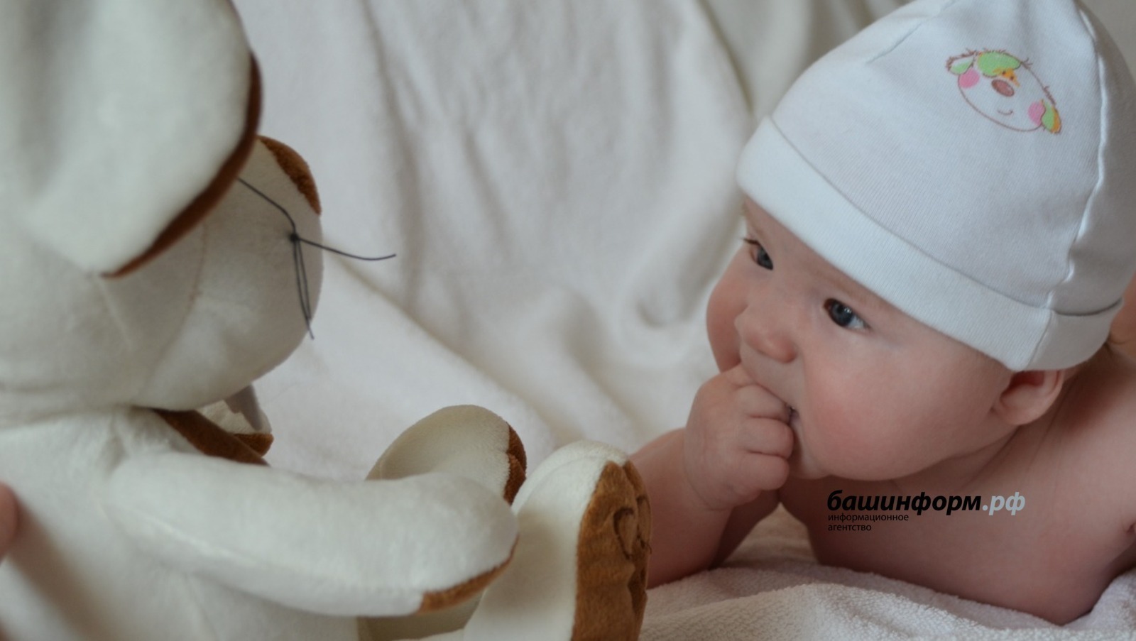 Иң популяр исемдәр - Әмир һәм Ева