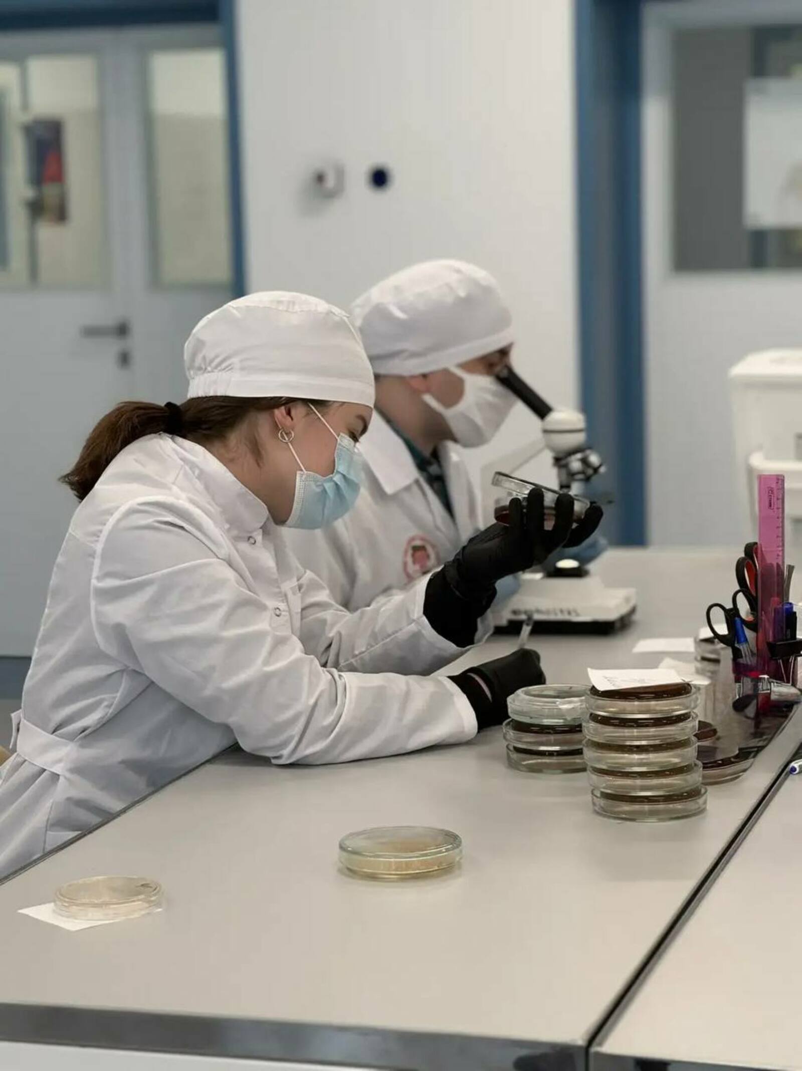 В  кампусе создали тест-систему для быстрого поиска «бактерии стройности"