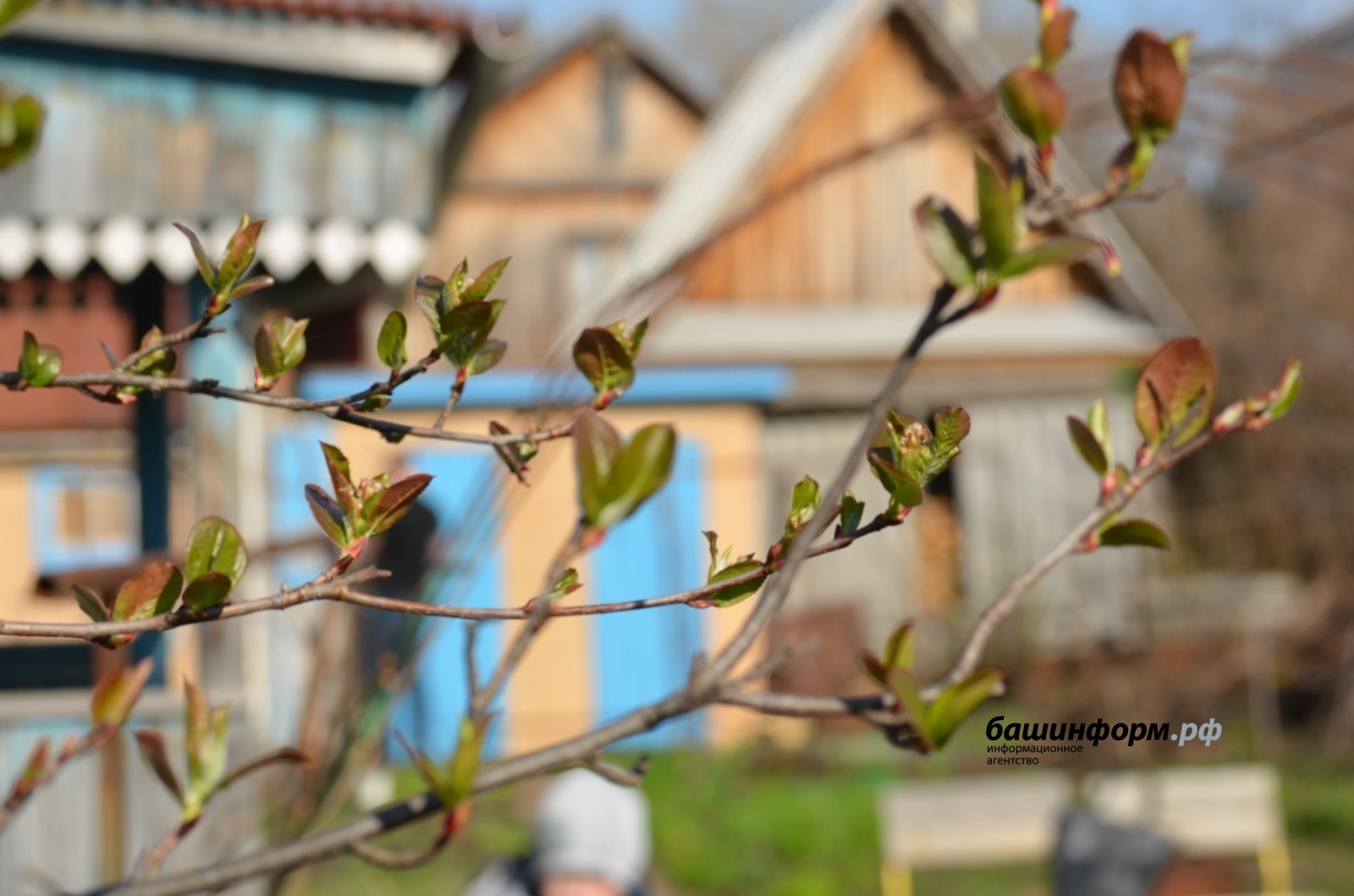 Республикала +26 градусҡаса йылыта