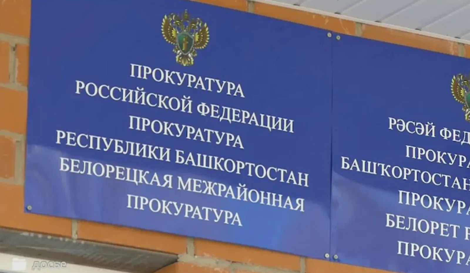 Законһыҙ ағас ҡырҡҡандар