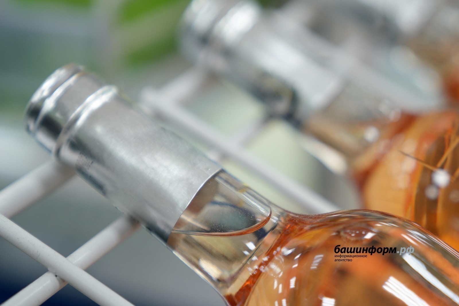 54 кеше хәмерҙән ағыуланып үлгән